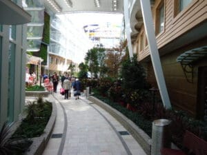 Central-park-aan-boord-van-Symphomy-of-the-Seas
