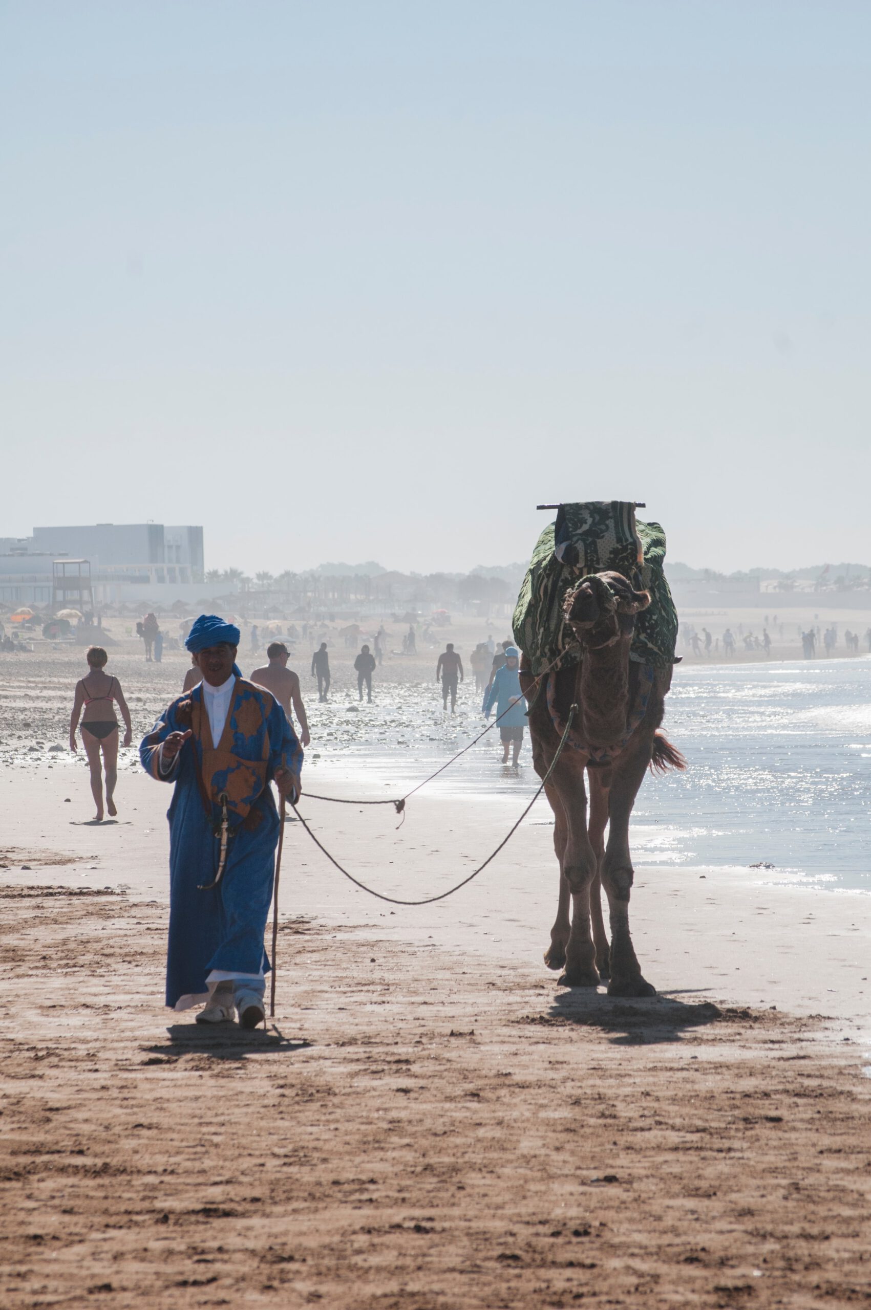 Marokko-Agadir-Cruise-Haven-strand-kameel
