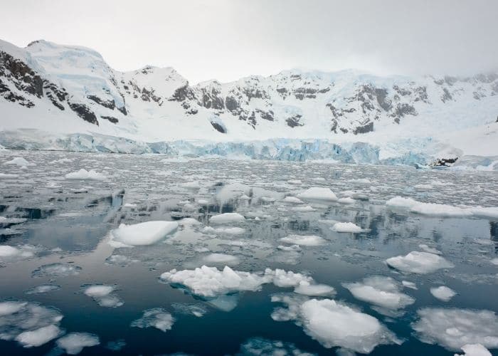 Antarctica-paradise-bay-bergen-ijs-zee