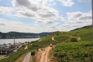 Duitsland-Rüdesheim-rivier
