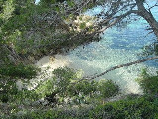 frankrijk-le-lavandou-zee-strand