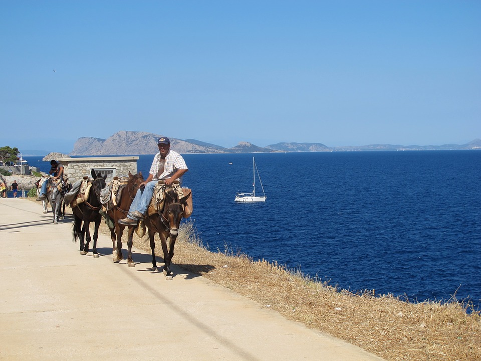 Griekenland-hydra-paarden-zee