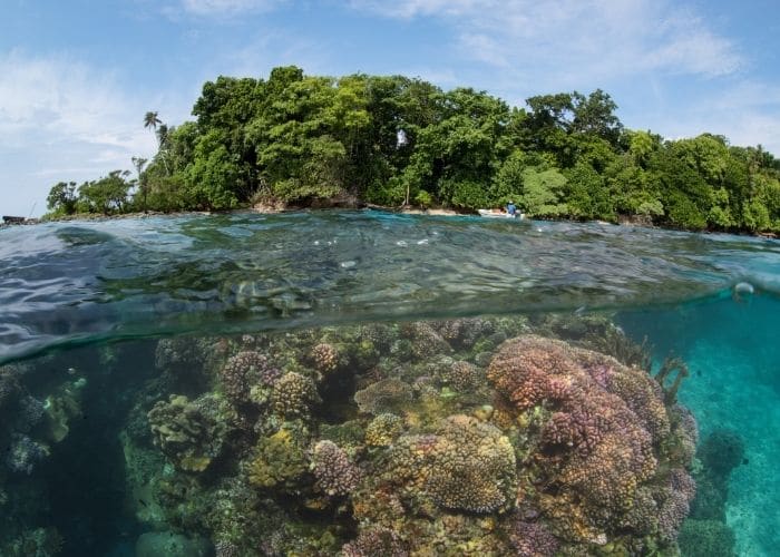 Solomon-eilanden-kennedy-island-koraal-zee.jpg