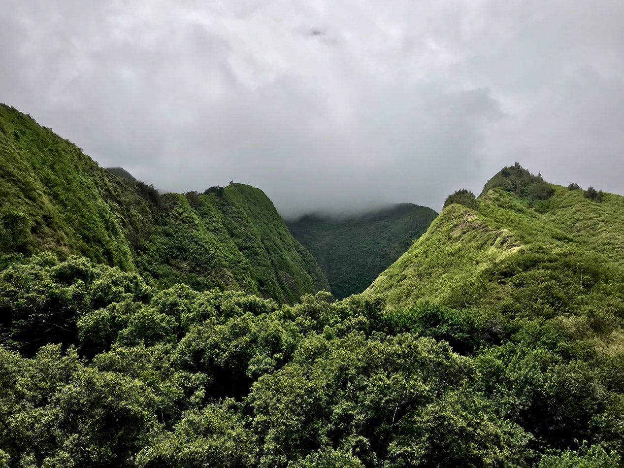 Verenigde-staten-hawaii-kahului-bossen-bergen