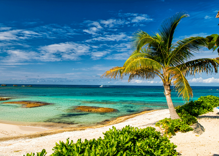 bahamas-Great Stirrup Cay-strand-palmboom
