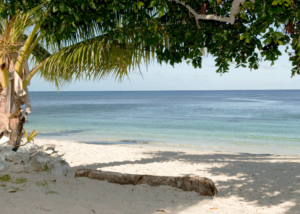 fiji-dravuni island-strand-zee