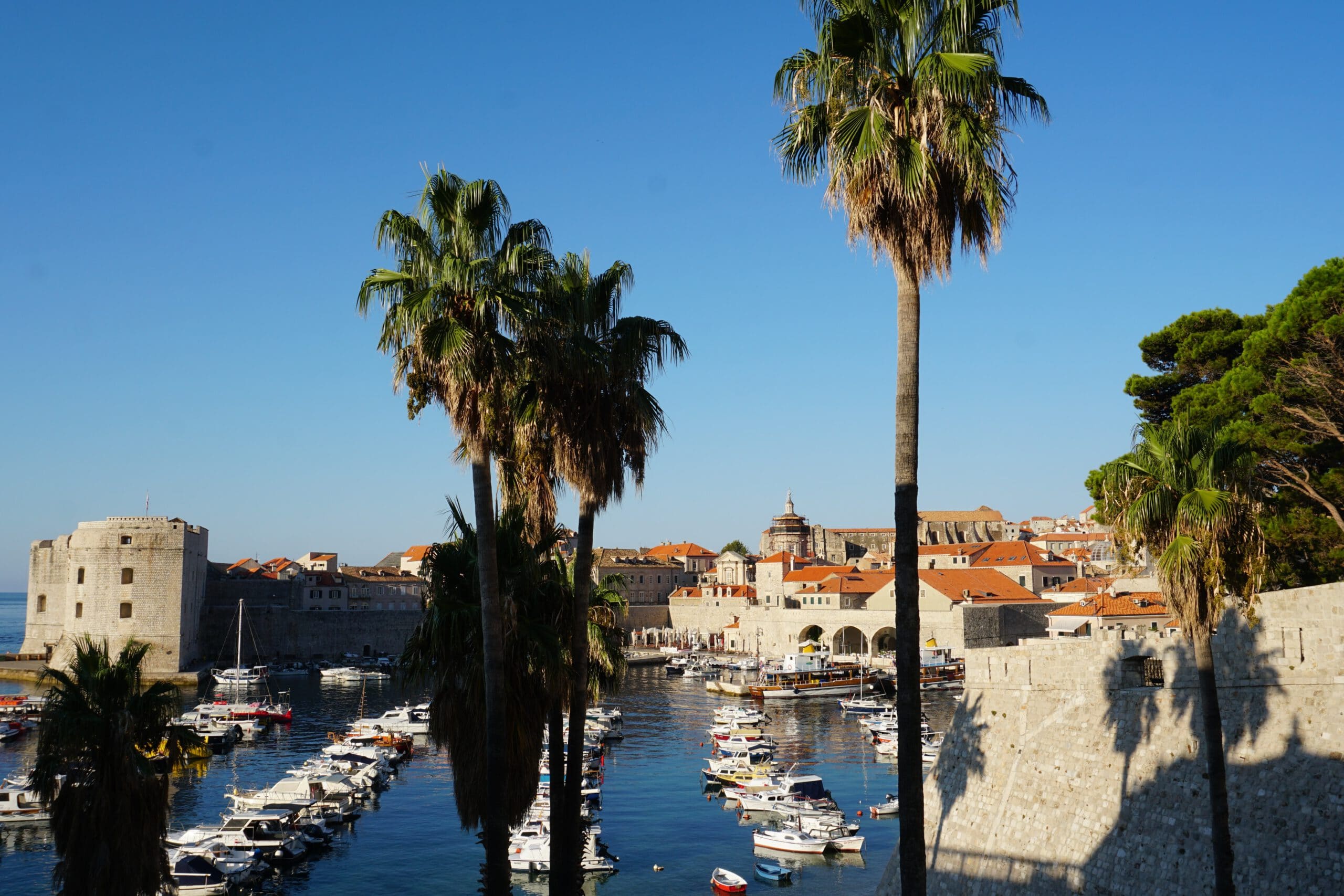 kroatie-dubrovnik-haventje-palmbomen-gebouwen-zee