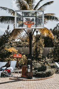 Dominicaanse Republiek-Puerto Plata-palmboom-basketbal