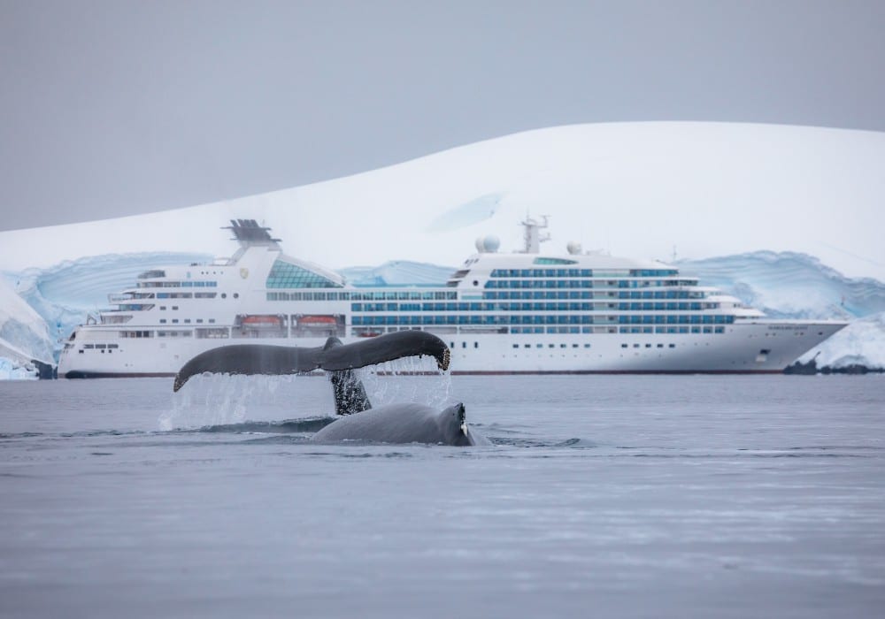 expeditie schepen seabourn